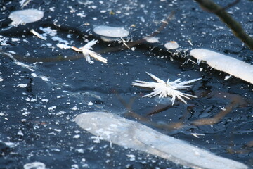 ice on a water