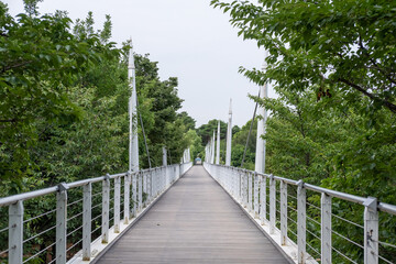 Bridge walkway with summer landscape. Seoul Forest in Seoul, South Korea.