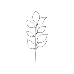 Outline plant eucalyptus leaf. One continuous line art decorative plant leaf. Editable stroke eucalyptus foliage floral element. Isolated vector illustration