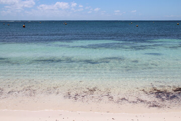 Fototapeta na wymiar indian ocean at marjorie bay at rottnest island (australia) 