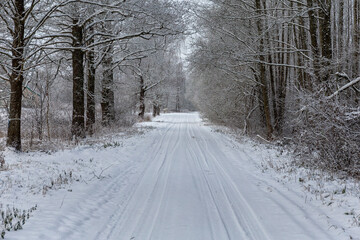 road in winter