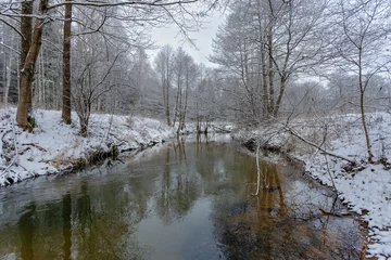 Foto auf Leinwand river in the winter forest © Dmitry
