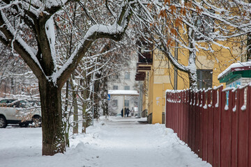 winter in the park