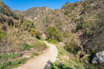 Fototapeta na wymiar A hiking trail through Bailey Canyon in Southern California