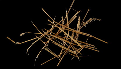 Pile straw isolated on black background and texture, top view