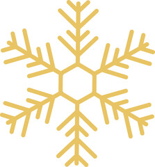 Golden snowflake