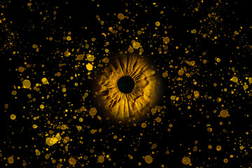 Braune Iris