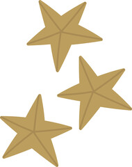 Christmas star