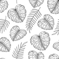 Tropical leaves monstera palm seamless pattern.