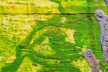 Impressionism as art abstract background. Paint texture closeup