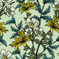 Hand drawn elegant colorful seamless pattern with botanical floral design illustration