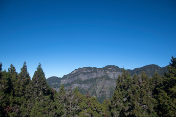 Beautiful morning with  blue sky in Alishan National Park Taiwan