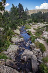 River flowing down the mountain in the Pyrenees