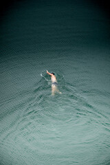 Athlete in swimming costume swimming the crawl in a mountain lake in the Pyrenees, seen from above