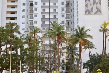 trees in downtown city