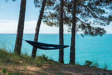 Empty hammock between palm trees on tropical beach. High quality photo