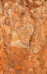 Sedimentary rocks with a high content of iron oxide. Red soil, loam. The texture of the soil.