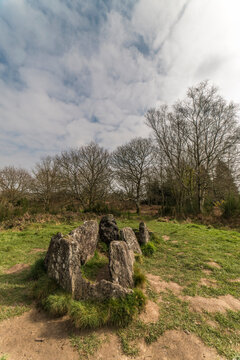 Alignement m&eacute;galithique dit L'H&ocirc;ti&eacute; de Viviane dans la for&ecirc;t de Broc&eacute;liand &agrave; Tr&eacute;horenteuc, Bretagne, France