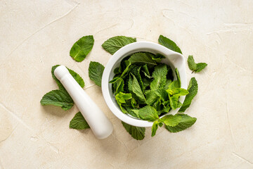 White mortar with fresh green mint leaves. Aroma herbs background