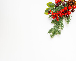 Christmas fir tree on white background. Space for text