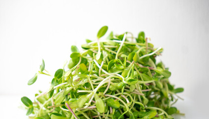 sunflower sprout on the plate.
