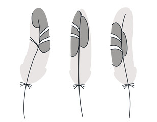 Set of seagull feathers in doodle style. Beautiful design elements.