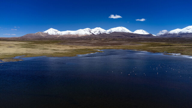 Chungara lake view with volcanic background in Lauca National Park on the border between Chile and Bolivia.