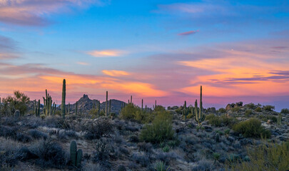 Wide Ratio Sunrise Desert Landscape In North Scottsdale AZ With Pinnacle Peak in Background