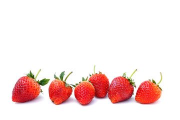Red strawberries in a row on a white background. soft and selective focus. 