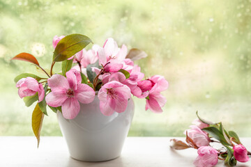 Pink flowers of decorative apple tree in a small white vase on a windowsill. Image for design postcards, calendar, book cover.