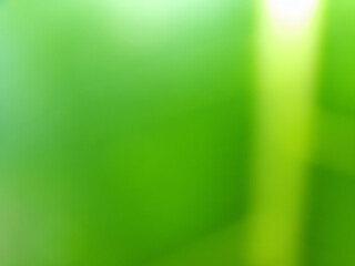 Defocused of abstract background of green leaves and yellow veins in the garden. For wallpapers or cover design