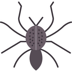 Spider Icon