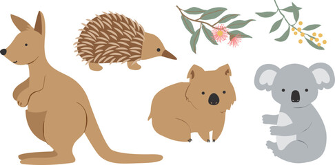 Set of 4 Australian Native Animals Wombat Echidna Kangaroo Koala Isolated on White Elements Wattle Eucalyptus Gum Leaf