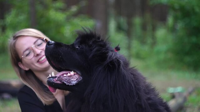 A girl walks with her dog in the park.A girl walks in the park with her dog Newfoundland. Friendship of a woman and a dog.