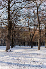 Fototapeta premium Landscape of a city park in winter, munich