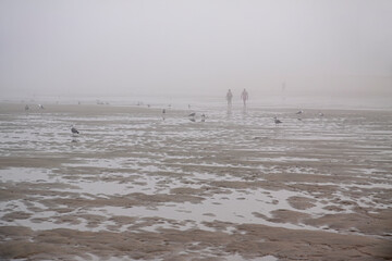 Sea beach in the morning mist