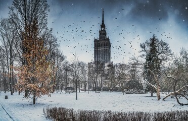 Warszawa i pałac kultury zimą z ptakami na niebie - obrazy, fototapety, plakaty