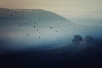 Obraz na płótnie Canvas foggy hills landscape with tree and birds flying