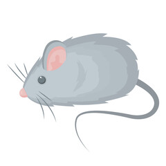Vector image of a toy for
pets. The concept of pet care. A pet store design element for a website, application, etc.