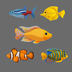 Naklejka premium Five items are different fish illustrations.