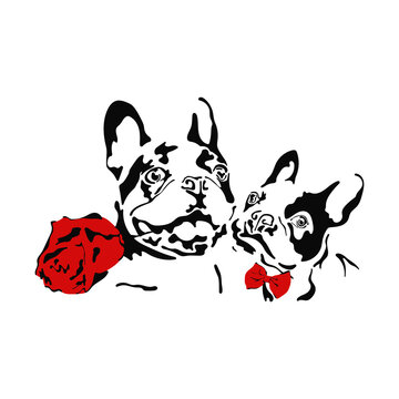 Vector illustration of hand drawn french bulldog with bow and rose in mouth. A couple of bulldogs. Dog love. Black dogs template. Isolated on white background.