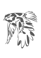 Flying sparrow bird drawing vector
