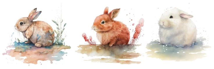 Fotobehang Safari Animal set white, brown and red rabbits in watercolor style. Isolated vector illustration © Zaleman