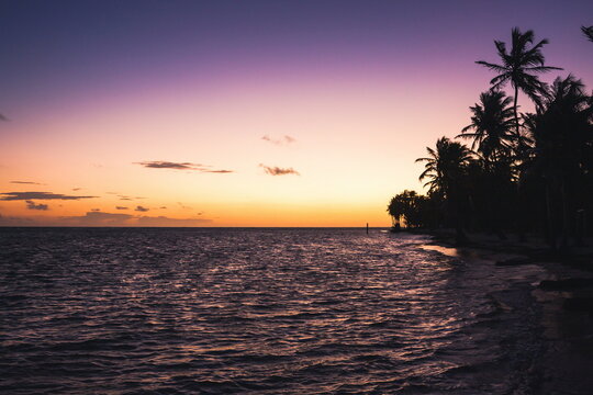 Beautiful sunrise at sea. Last minutes before dawn on the Atlantic ocean. The sun beyond horizon. Palm trees against the background of the rising sun. Tropical sunrise. Dominican Republic © decorator
