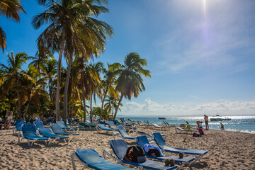 Dominican Republic. 20 NOVEMBER 2021. Caribbean beach with a lot of palms and white sand, sunbeds. Sunny warm day at the sea under palm trees. Sun loungers under palm trees