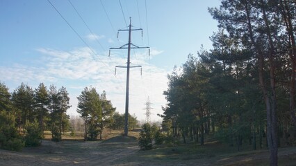 Power pole in the forest