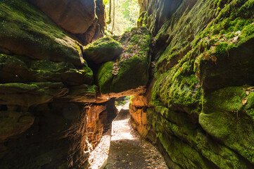 Uttewalder Felsentor with massive sandstone rocks covered in moss overhanging narrow foot path with...