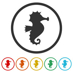 Sea Horse simple icon. Set icons in color circle buttons