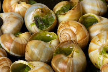 escargots cuisinés à l'ail et au beurre persillé