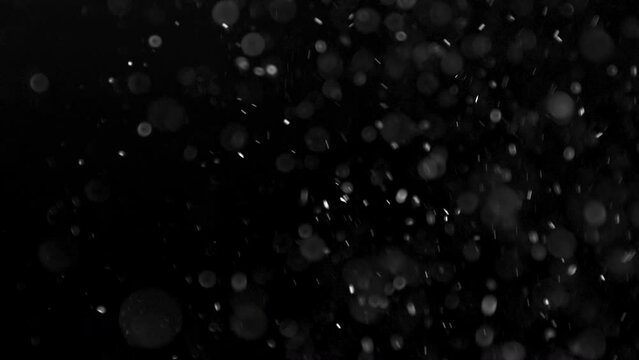 Natural organic particles randomly float in the air on a black background. 2